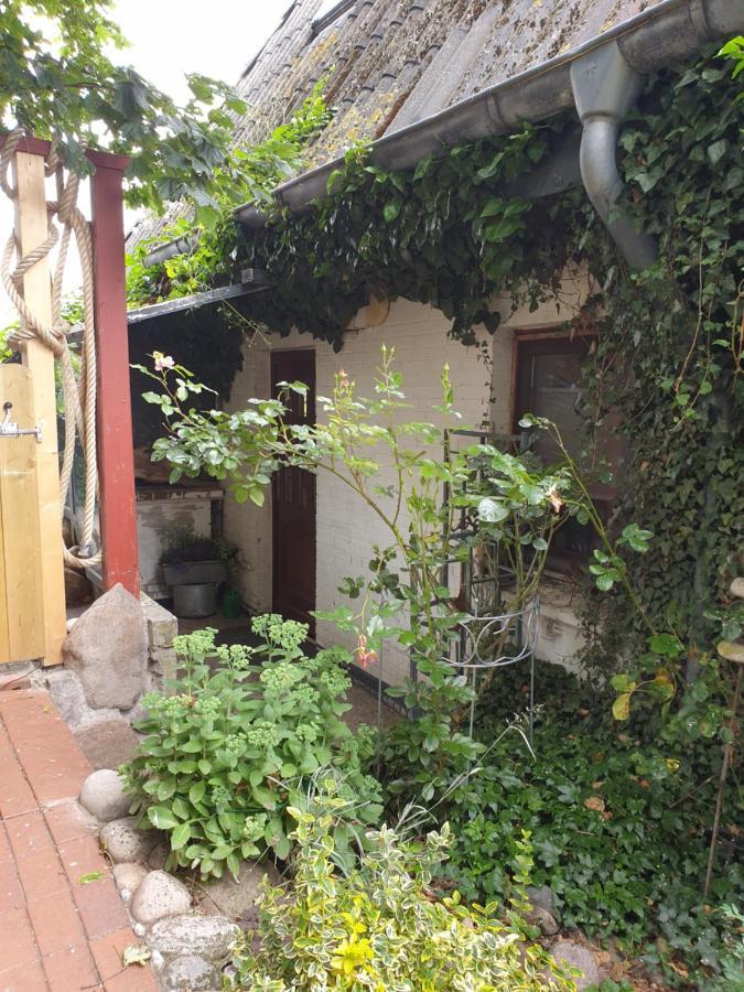 Ferienwohnung Am Osterdeich Dagebüll Esterno foto